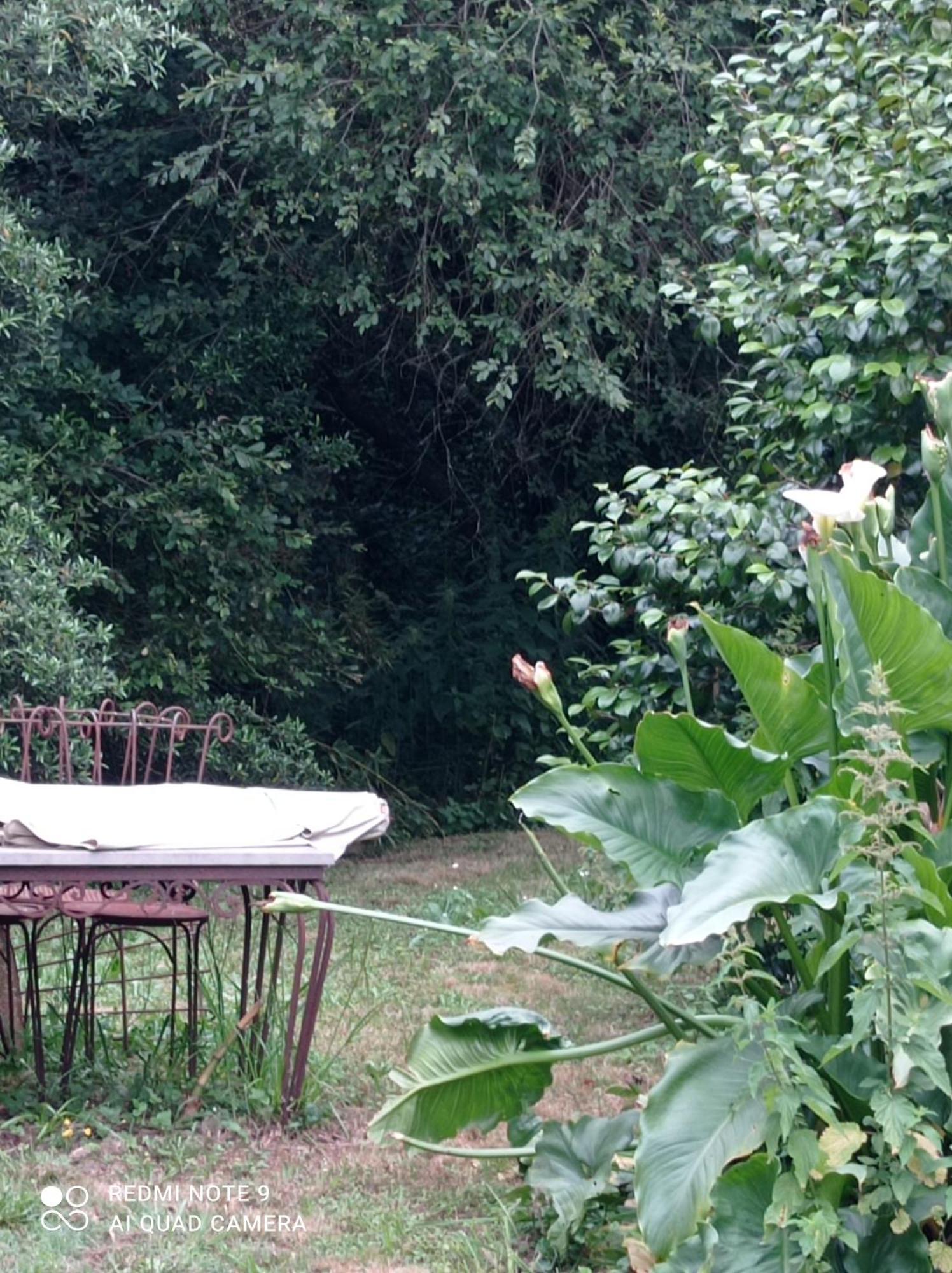 فيلا Rez-De-Jardin Piscine Chauffee Et Jardin Privatifs سانت جور دو ماريم المظهر الخارجي الصورة